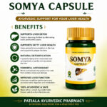 somya copy